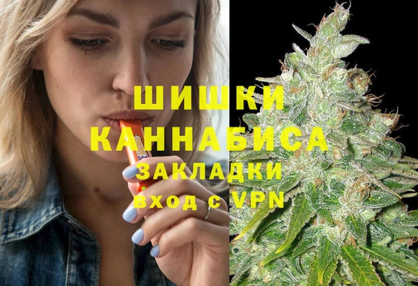 дживик Алексин