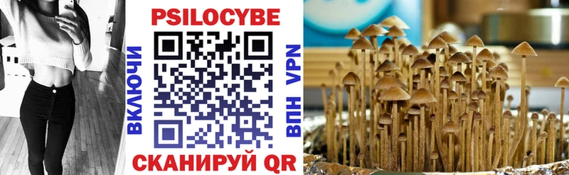 Псилоцибиновые грибы Psilocybe  Купить закладки  Кондрово 